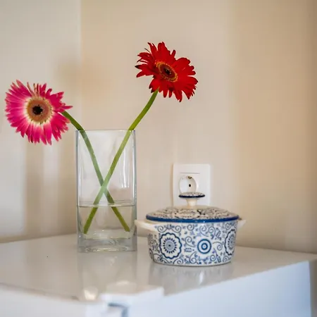 Apartamento Sunrise Menetaí